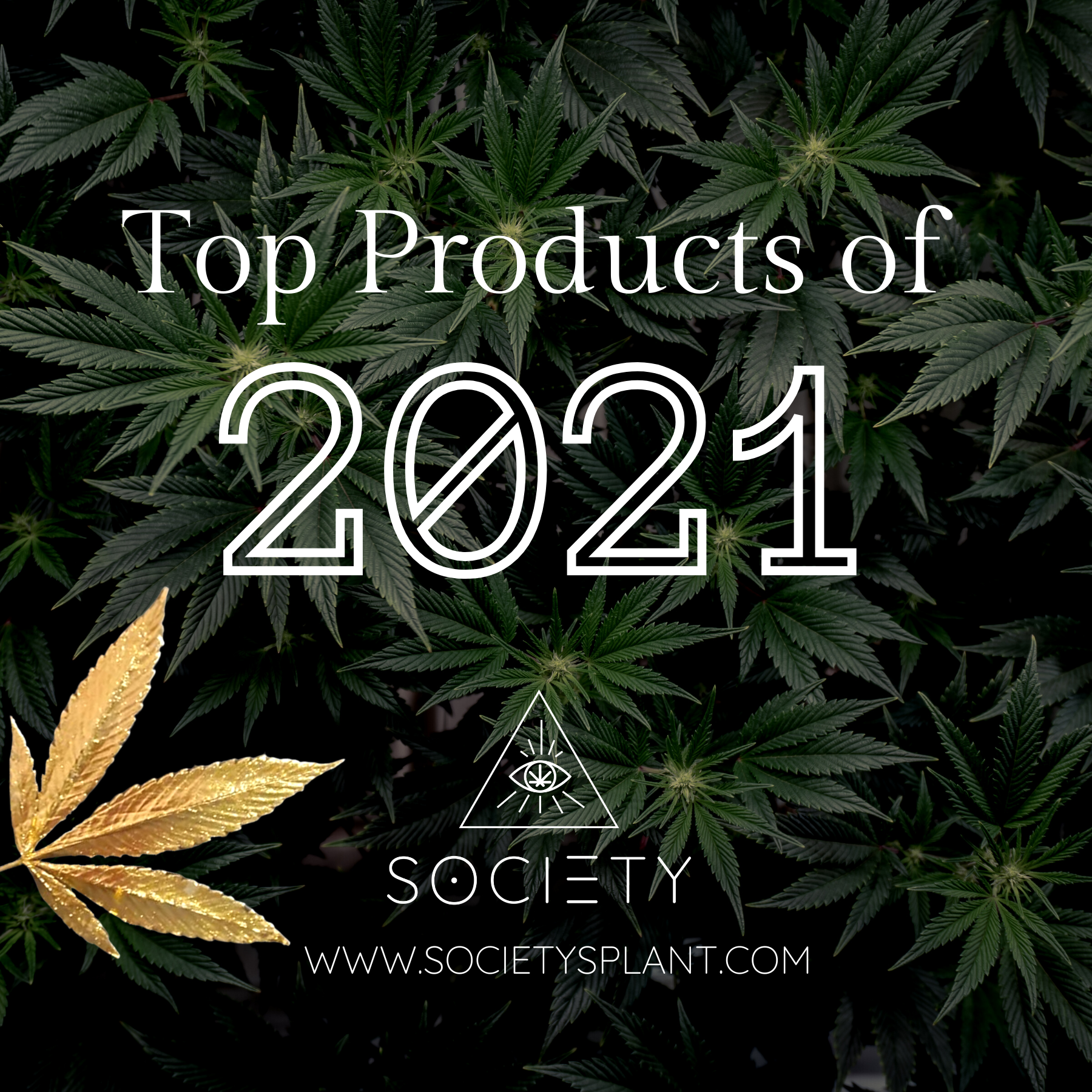 2021 Product Favorites