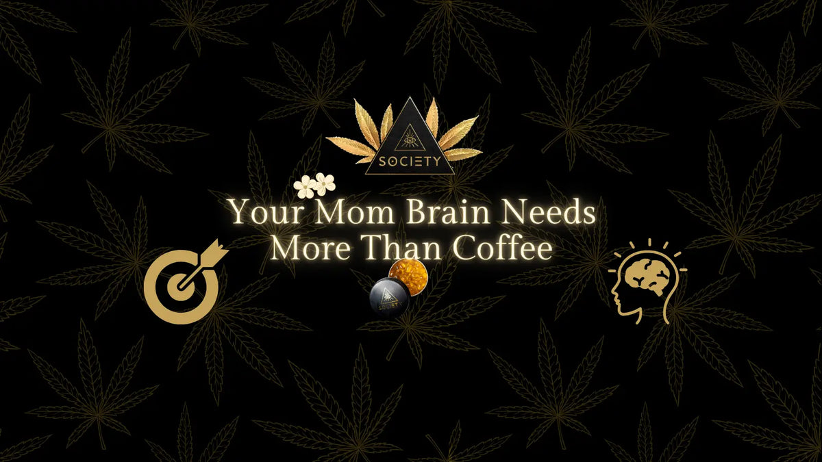 edibles for focus