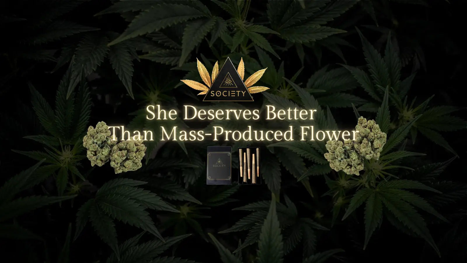 best thca flower