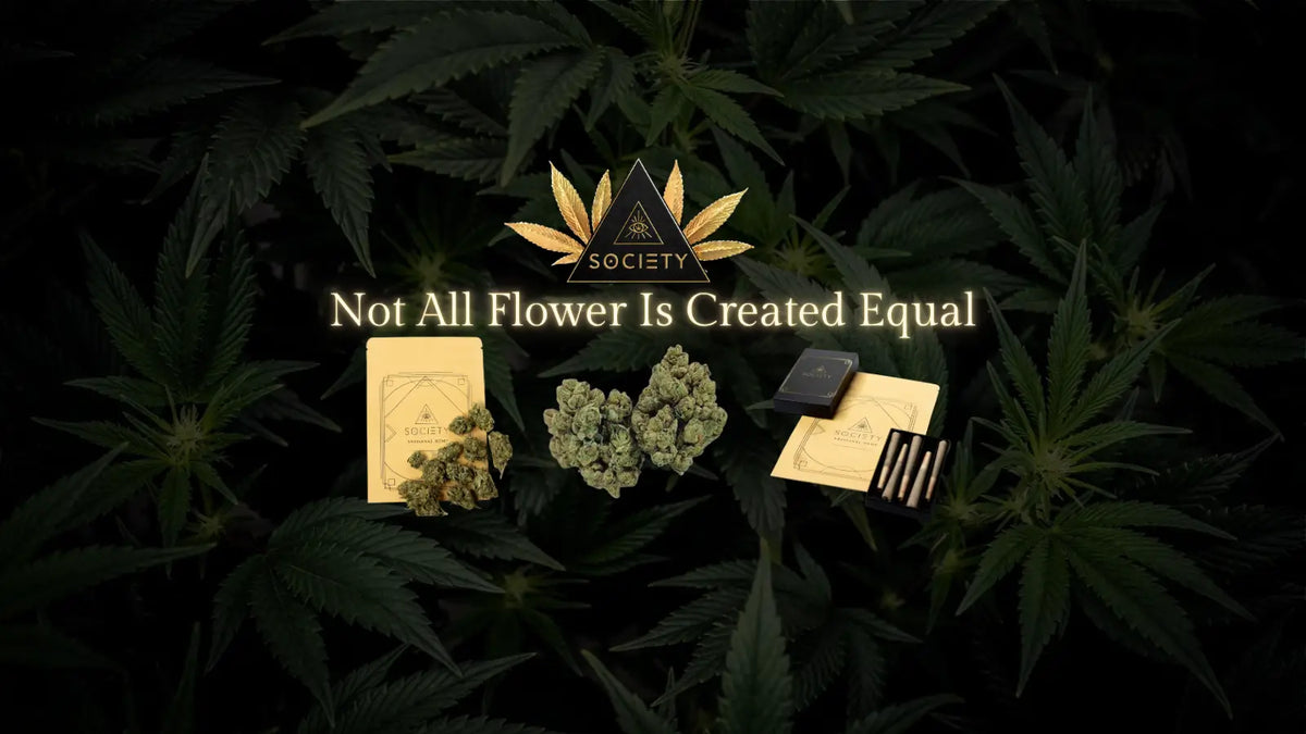 Best THCA Flower: How to Find Quality Craft THCA Flower Online