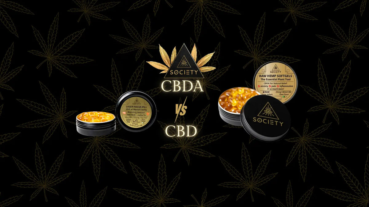 benefits of cbda vs cbd