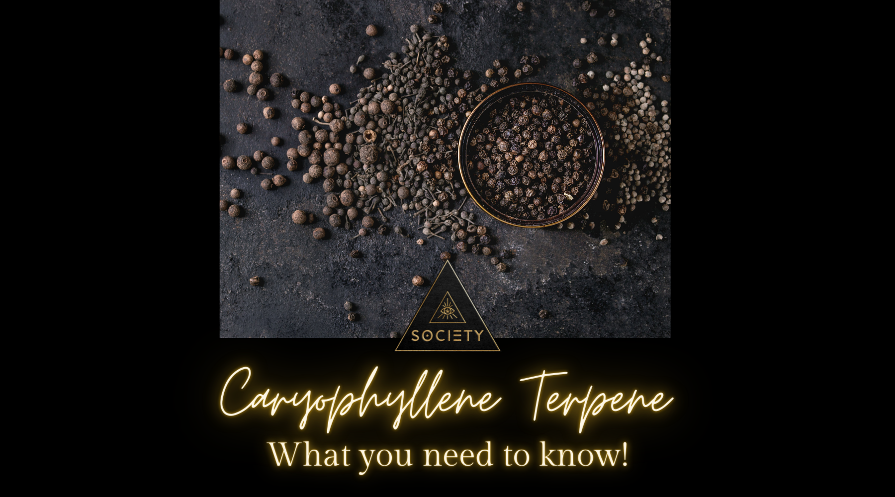 Terpene You Need to Know: Beta-Caryophyllene.