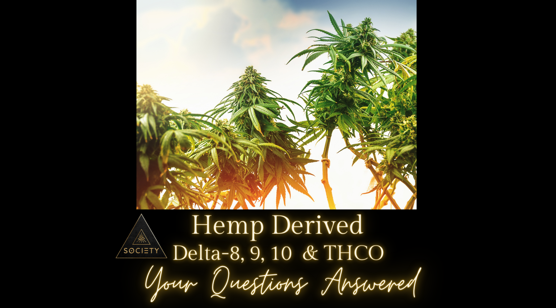 Alternative Cannabinoids: Delta 8, Delta 9, Delta 10, and THCO