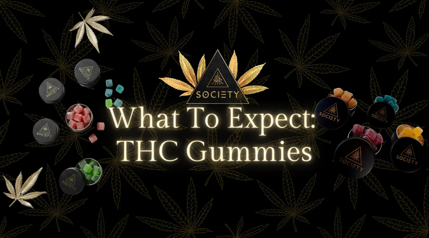 Best THC Edible Experience: Understanding Your Cannabis Gummy High for Optimal Wellness
