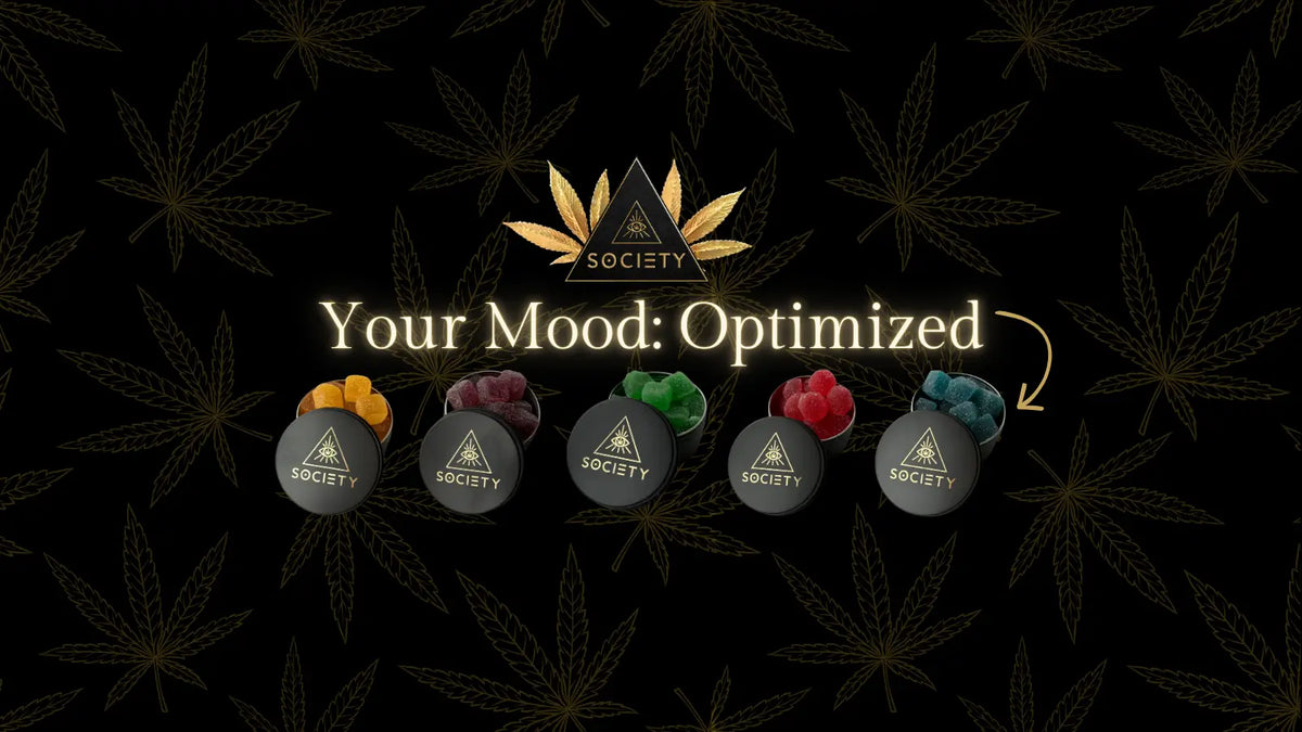 Gummies for Mood: Your Complete Guide to Cannabis Wellness