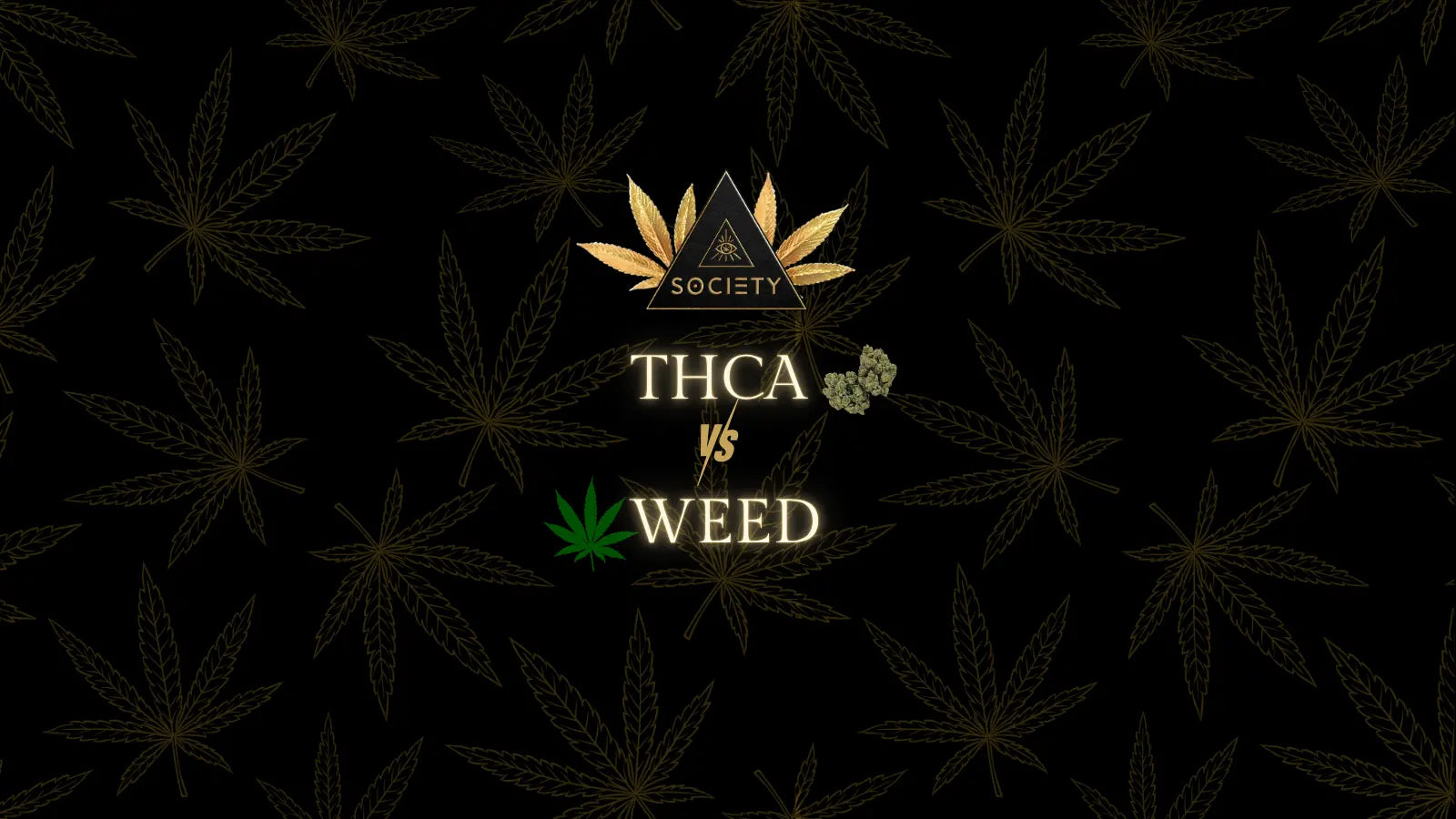 THCA vs Weed