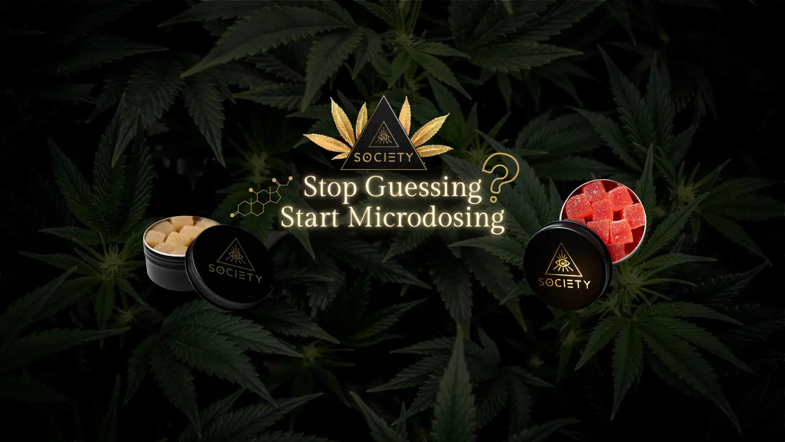 microdose gummy