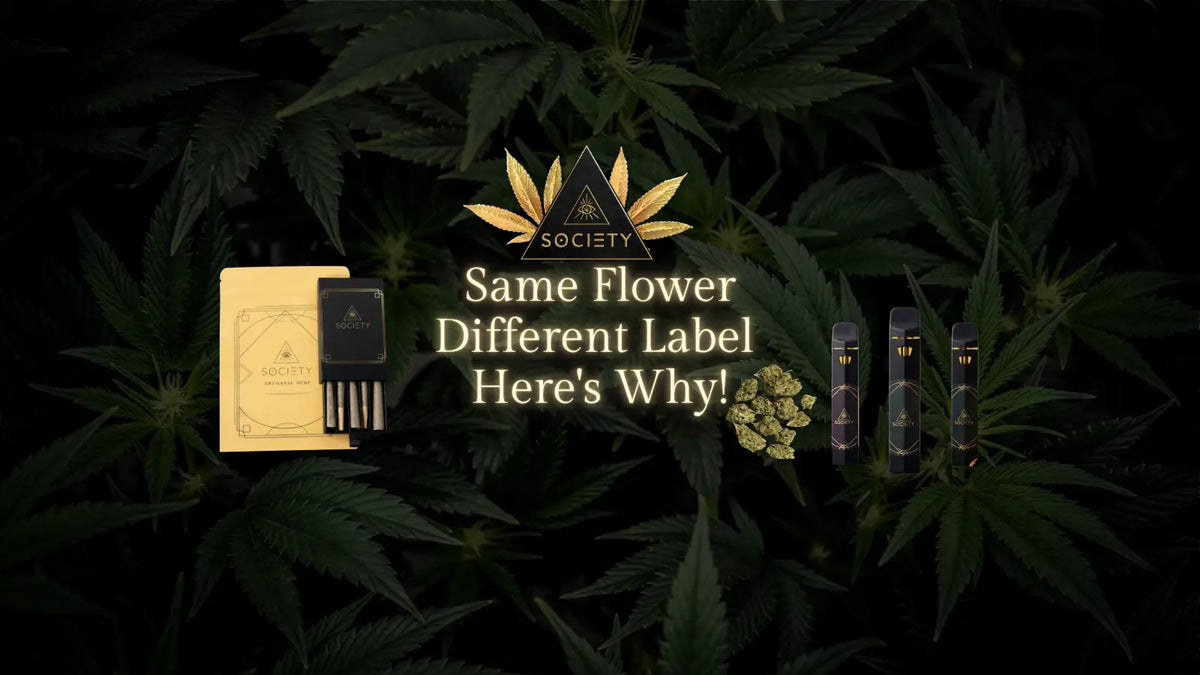 THCA flower