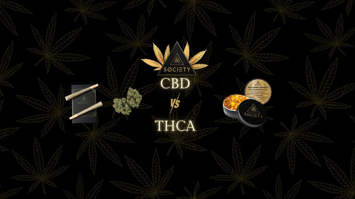 thca vs cbd