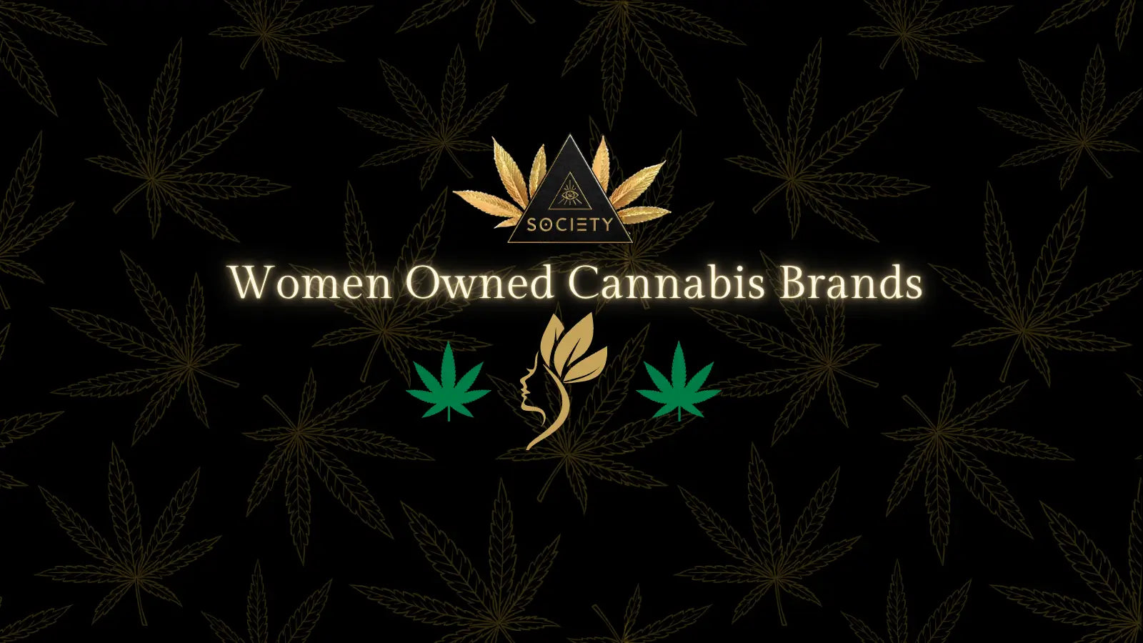 Top 7 Women-Owned Cannabis Brands in 2026 (Ranked)