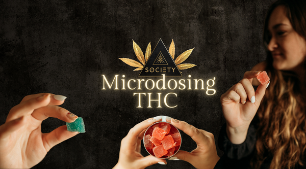 Microdosing Made Delicious: SOCIETY's Microdose Gummies