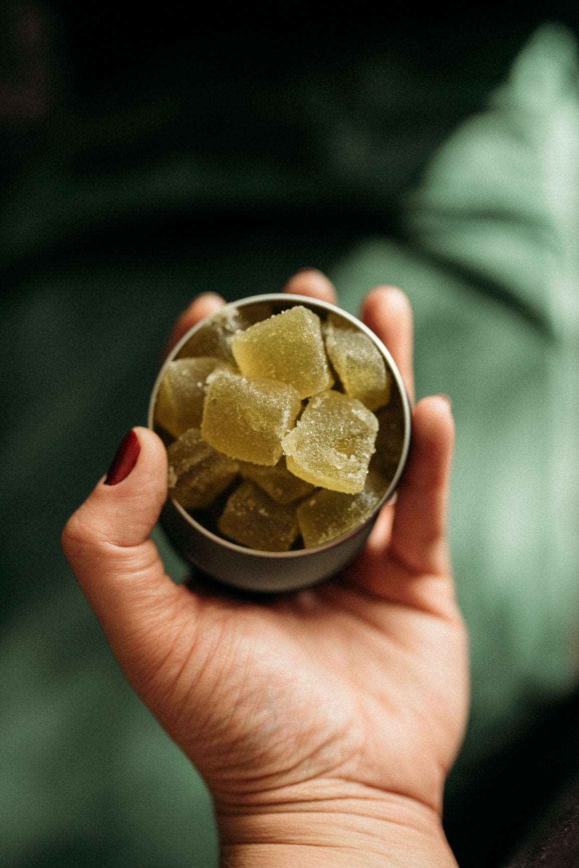 THCv Weight Loss Gummies