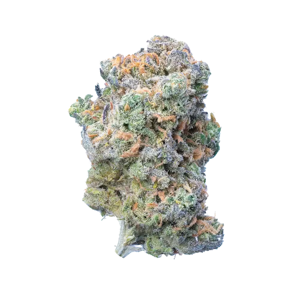 Blue Dream THCA Flower from Society's Plant