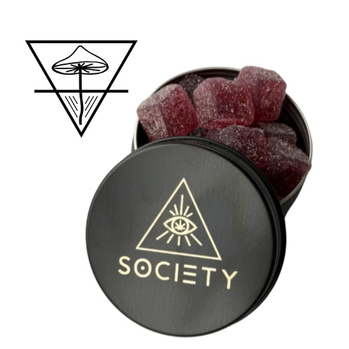 Good Day CBG Focus Gummies