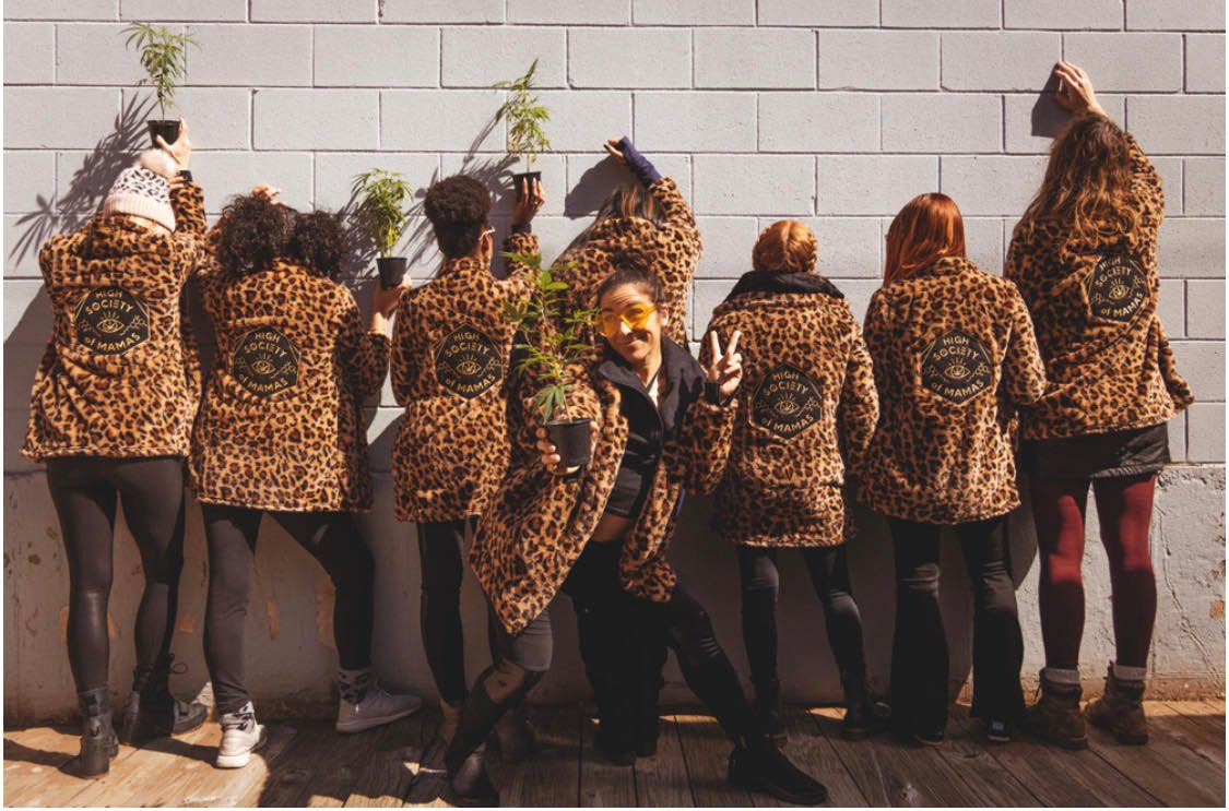 High Society of Mamas Jacket