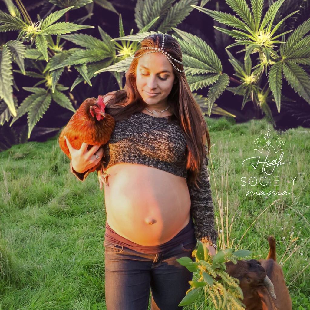 PREGNANCY. AUTISM. CANNABIS.