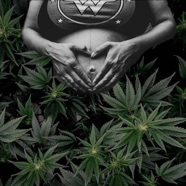 Cannabis use During Pregnancy