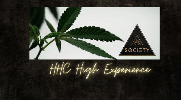 HHC High versus D8 THC