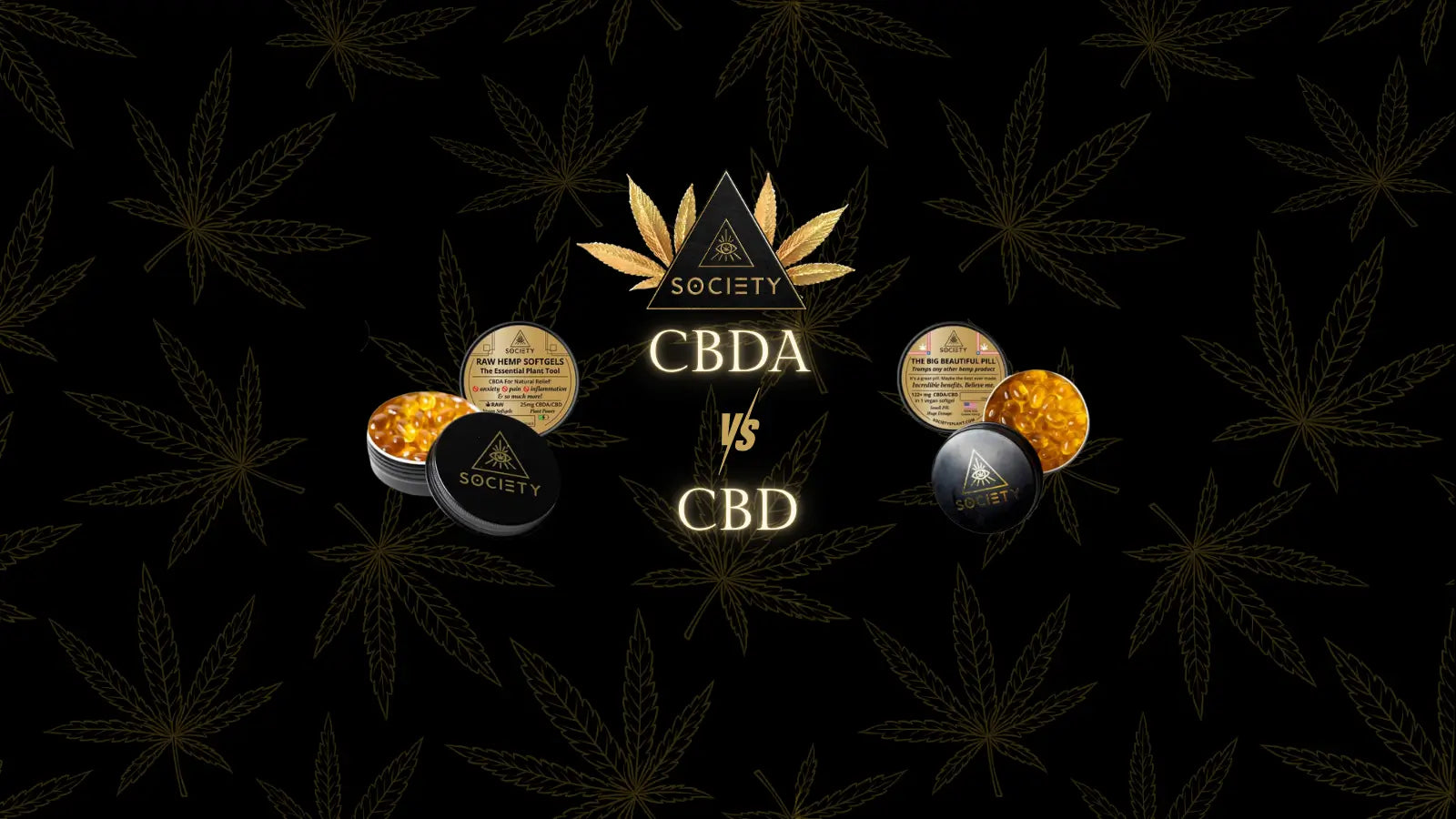 benefits of cbda vs cbd
