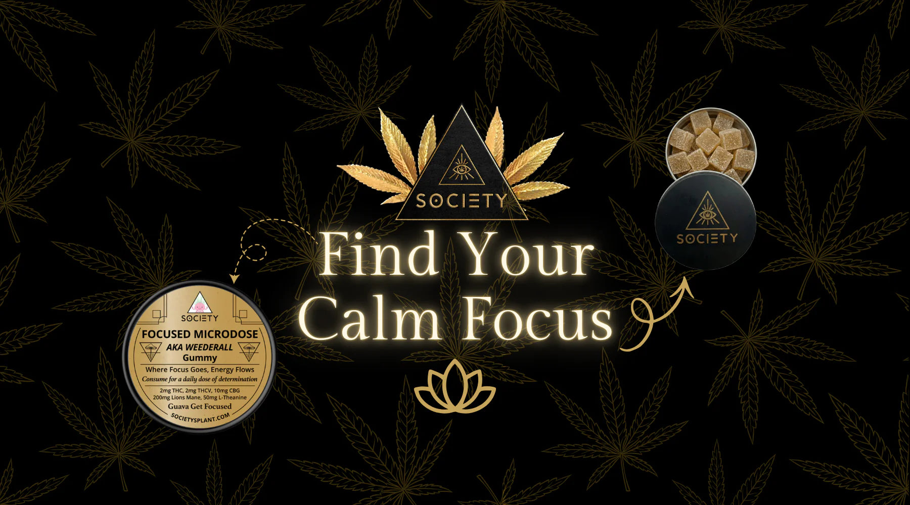 Best Edibles for Focus: Microdose THC for Clarity & Calm