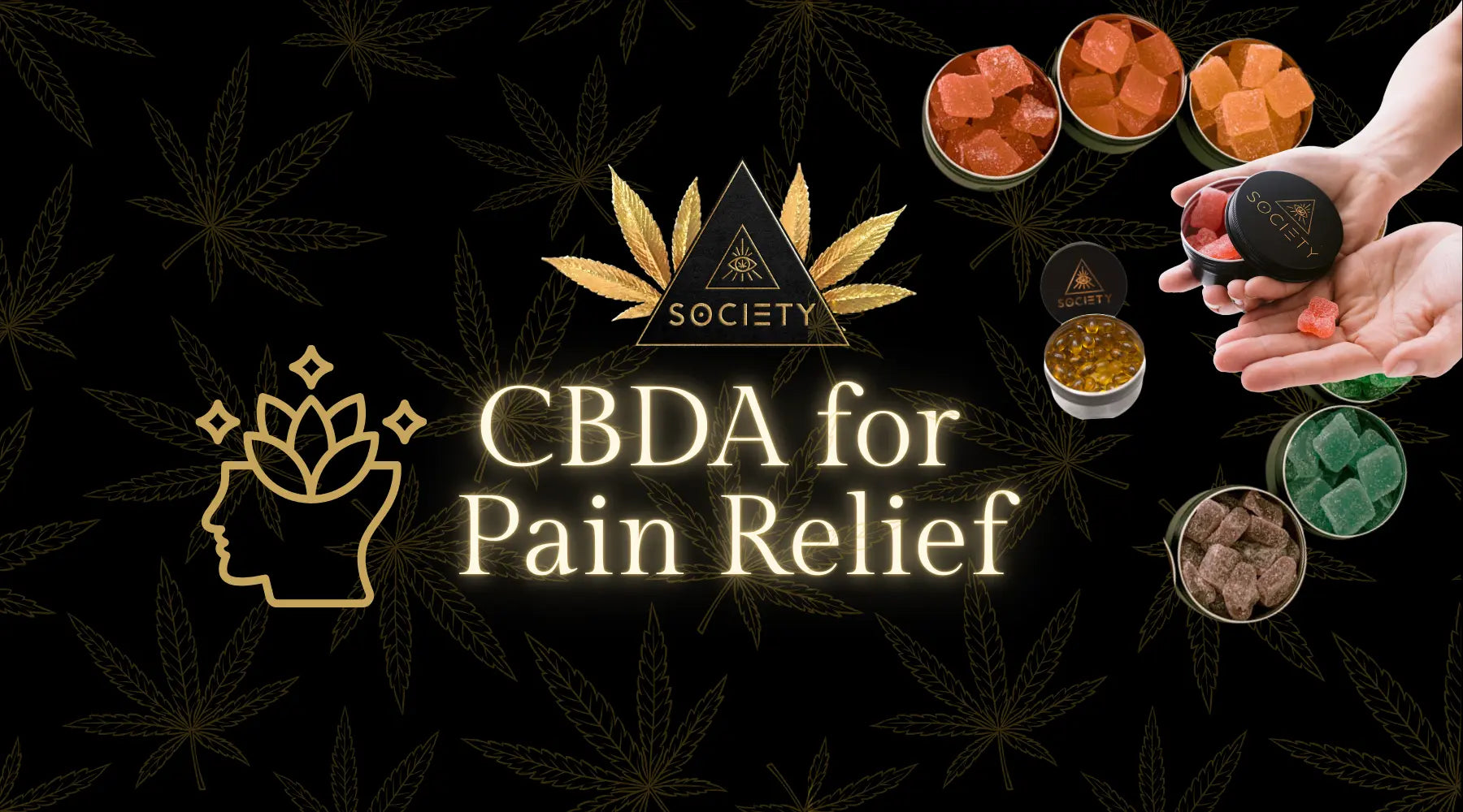 Best Edibles for Pain Relief: Why CBDA outperforms THC Edibles and CBD Gummies