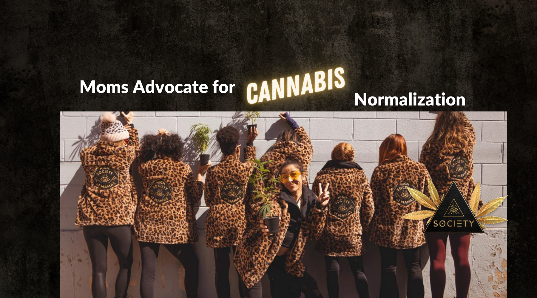 CannaMoms Advocate