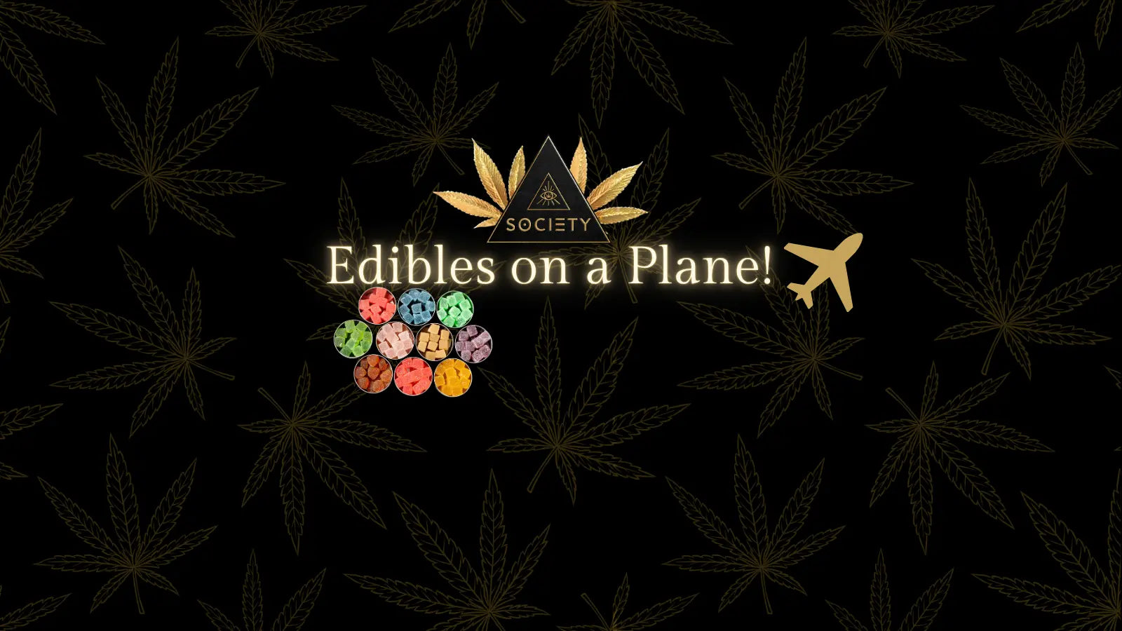 bring edibles on plant