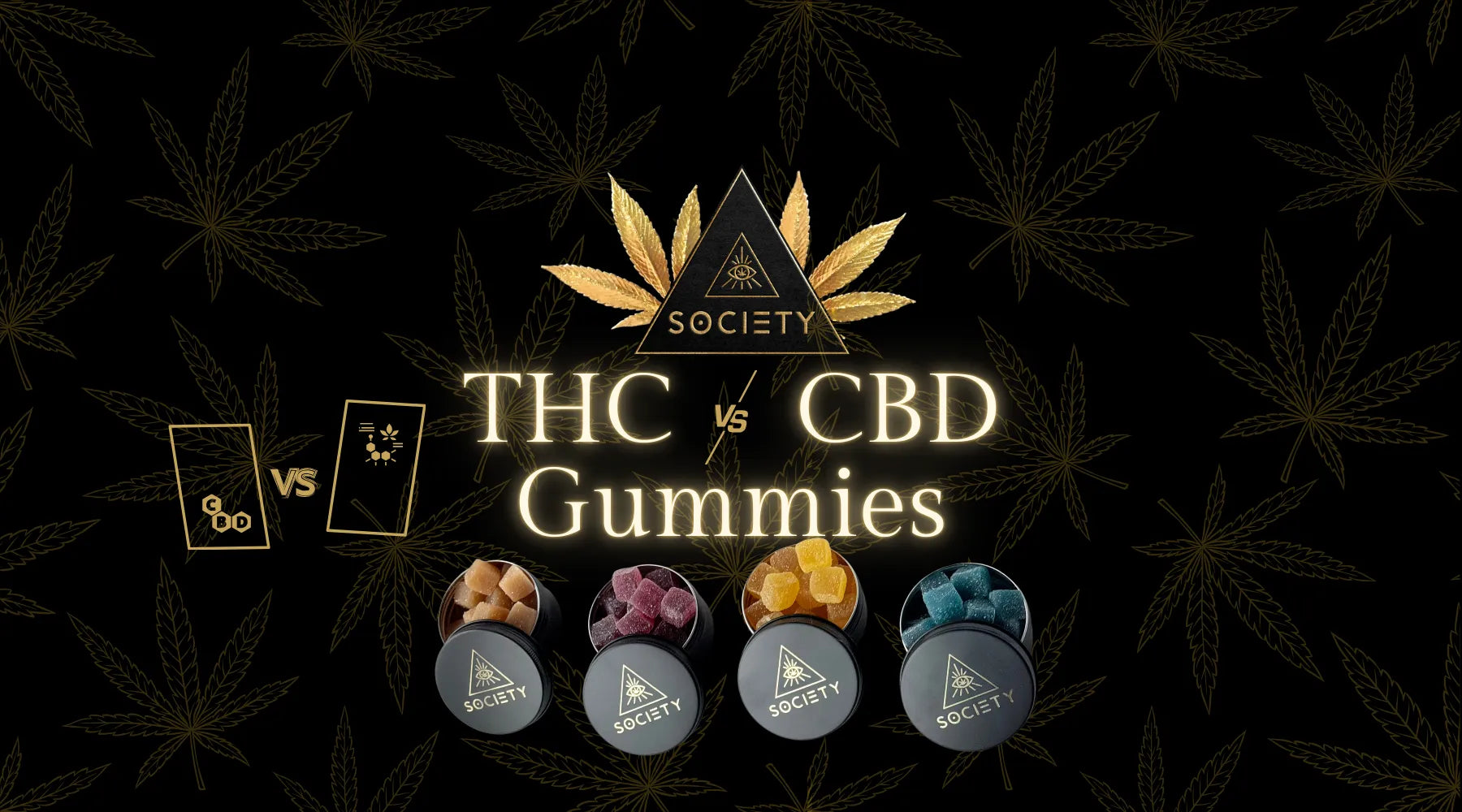 Canna Gummies Explained: THC, CBD Content, and What to Expect from Passion Gummies