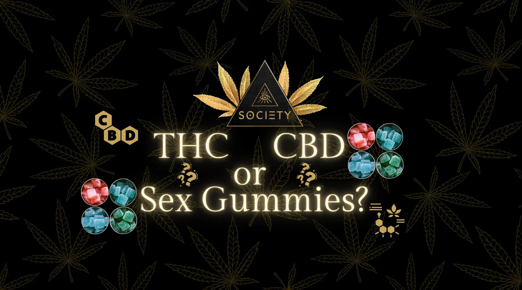 Canna Gummies: THC vs CBD Content and What to Expect from Passion Gummies