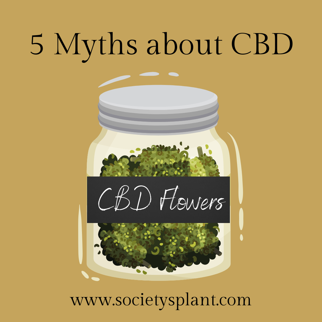 5 Myths about CBD