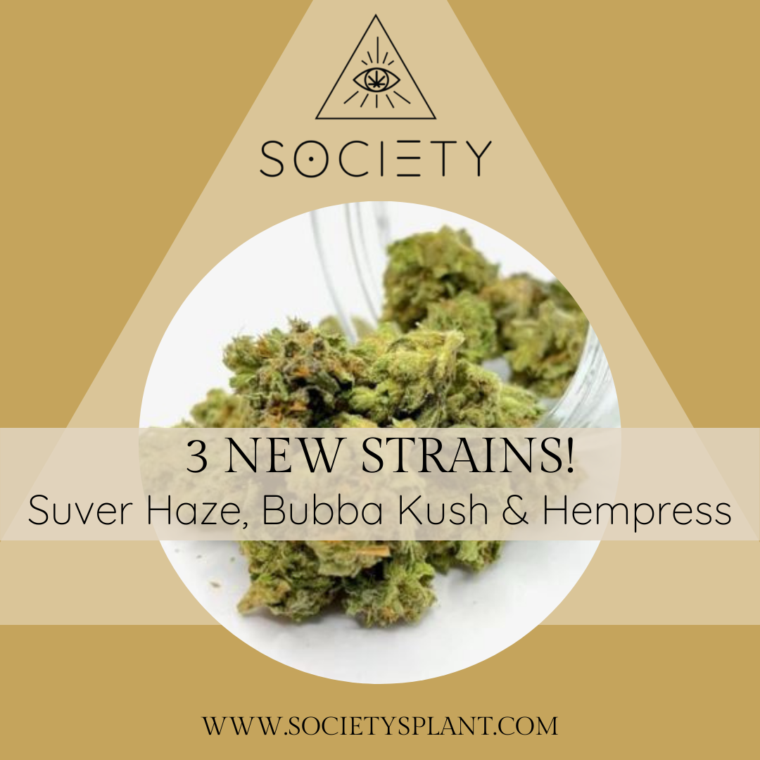 Introducing 3 New Strains of CBD Hemp Flower