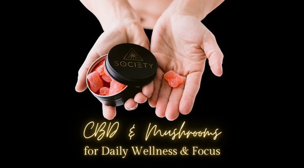 CBD for Daily Wellness: Decrease Stress & Anxiety, Increase Focus & Energy