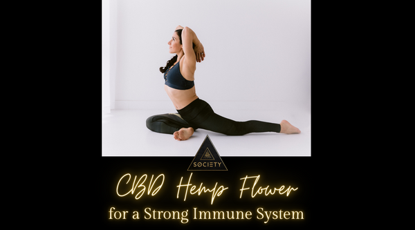 CBD Hemp Flower and the Pillars for a Strong Immune System