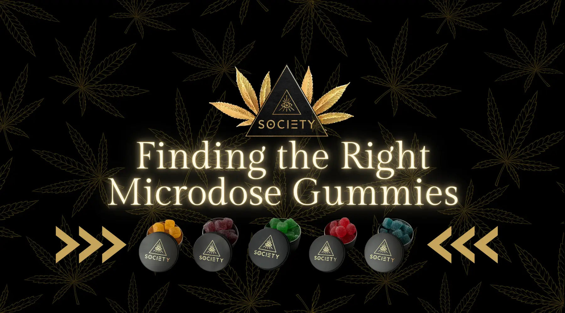 Finding the Right Microdose Gummies