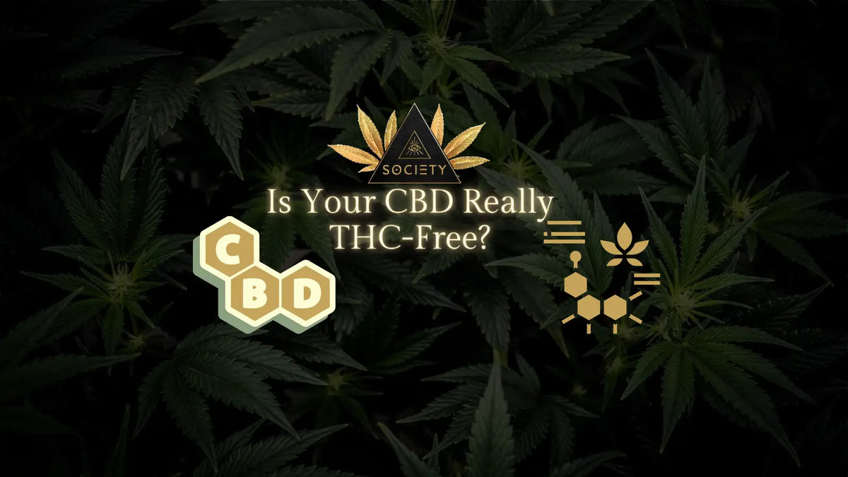 CBD product with THC-free label and batch-specific lab report showing cannabinoid testing on a clean surface.