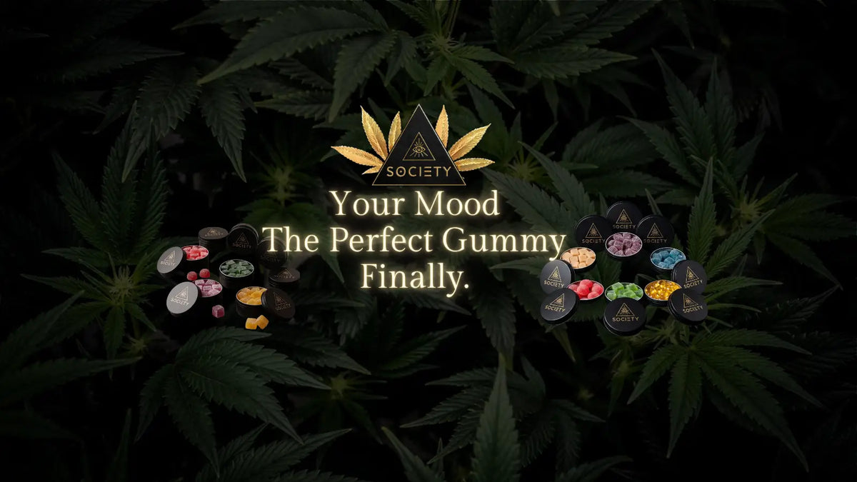 gummies for mood