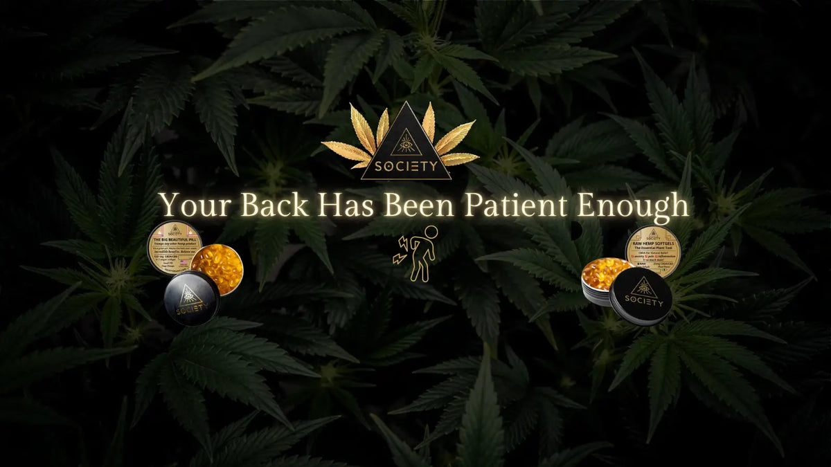 best edibles for back pain