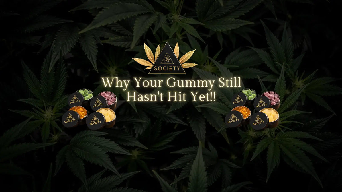 nano thc
