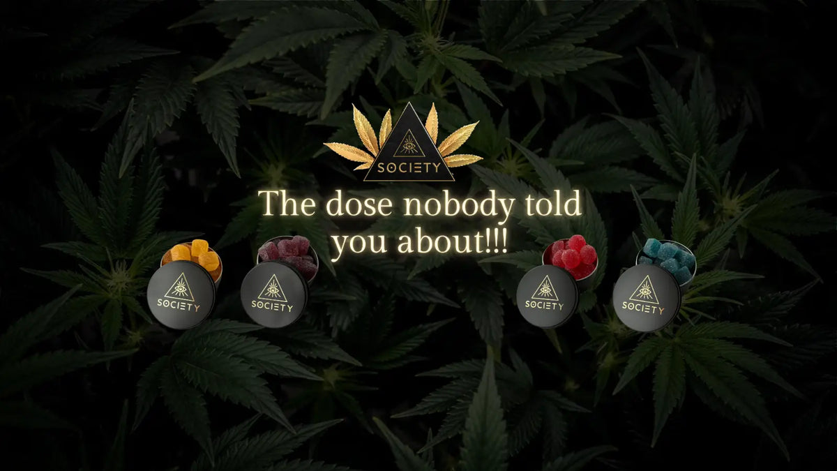 mama dose microdose