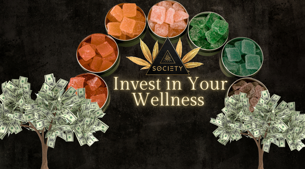 Invest in Your Wellness