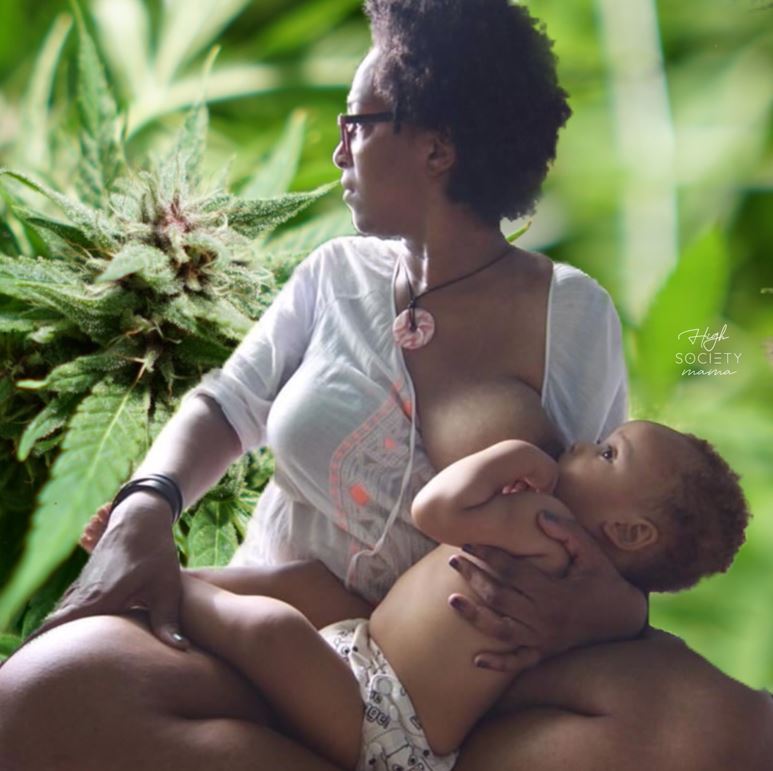 Society's Plant CBD Tools & Breastfeeding