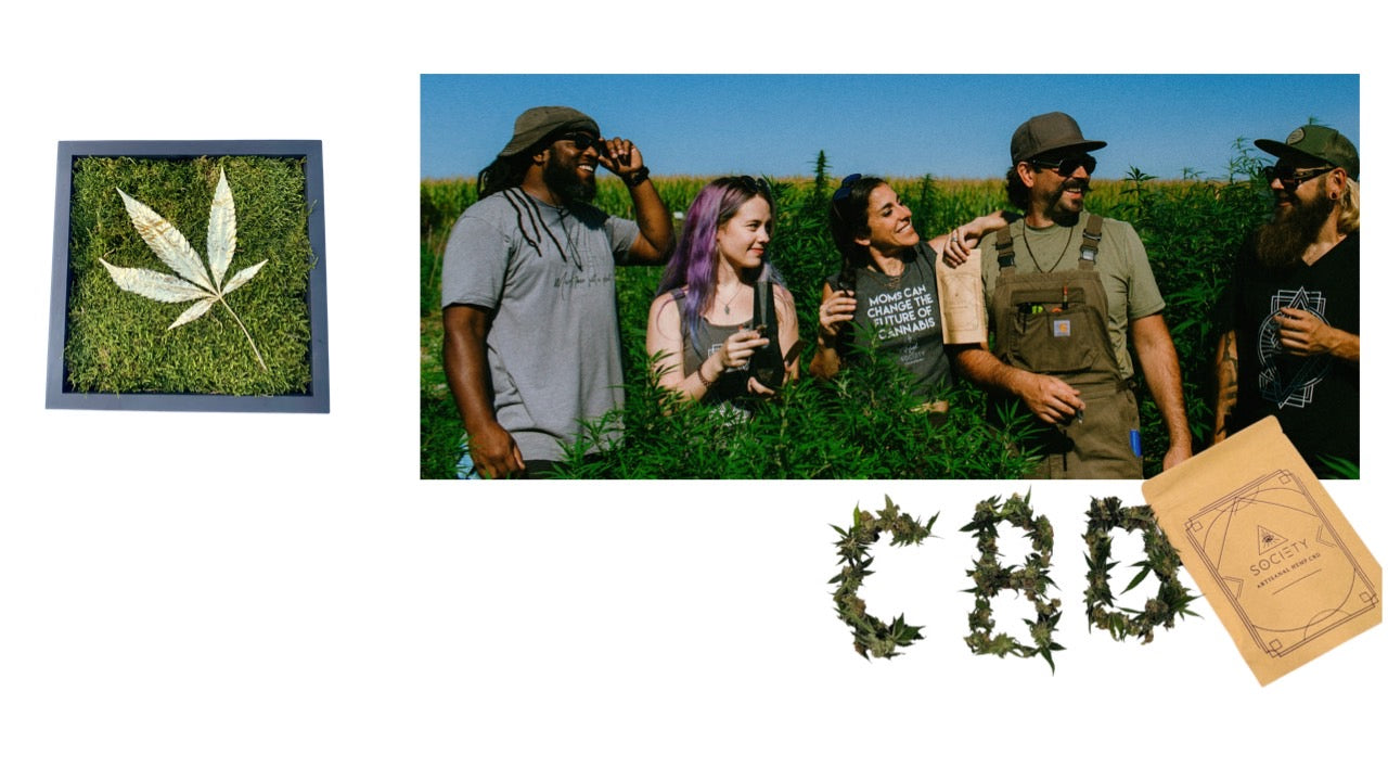 to bring the BEST of plant medicine to SOCIETY.