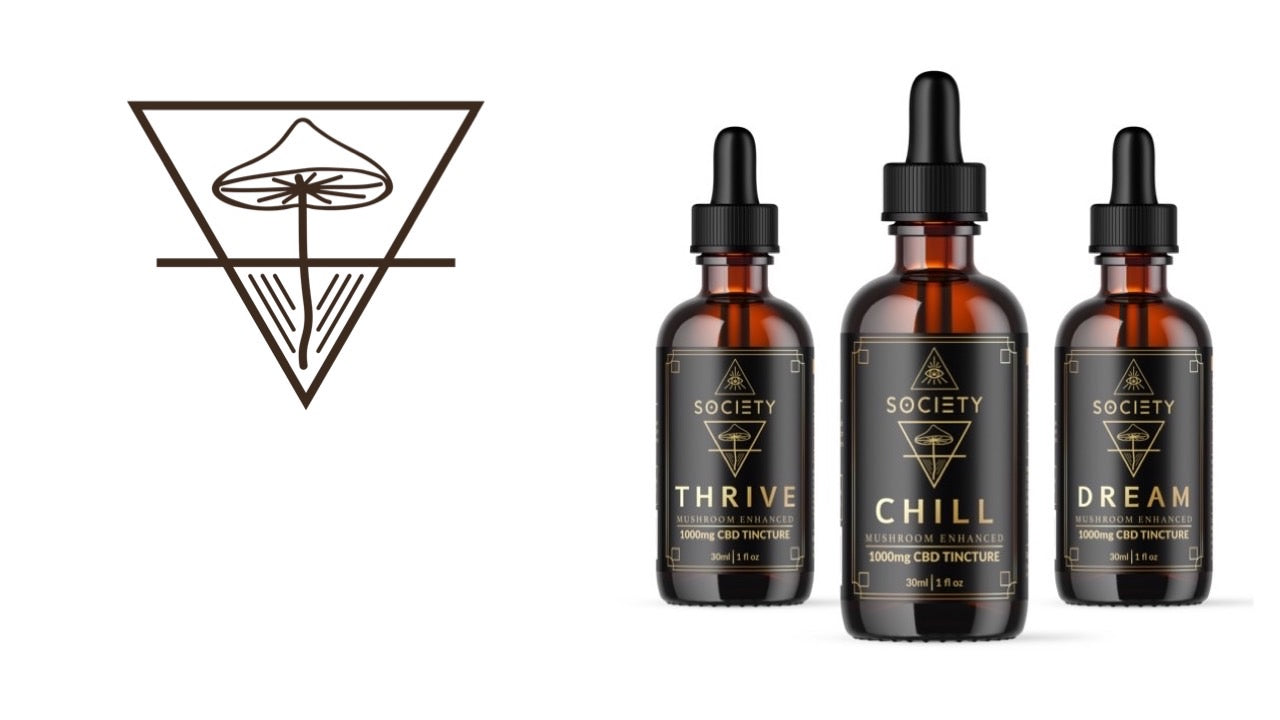 Mushroom Enhanced CBD Tinctures