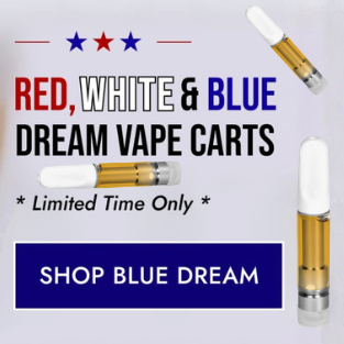 Delta 9 THC Disposable Vape Pen