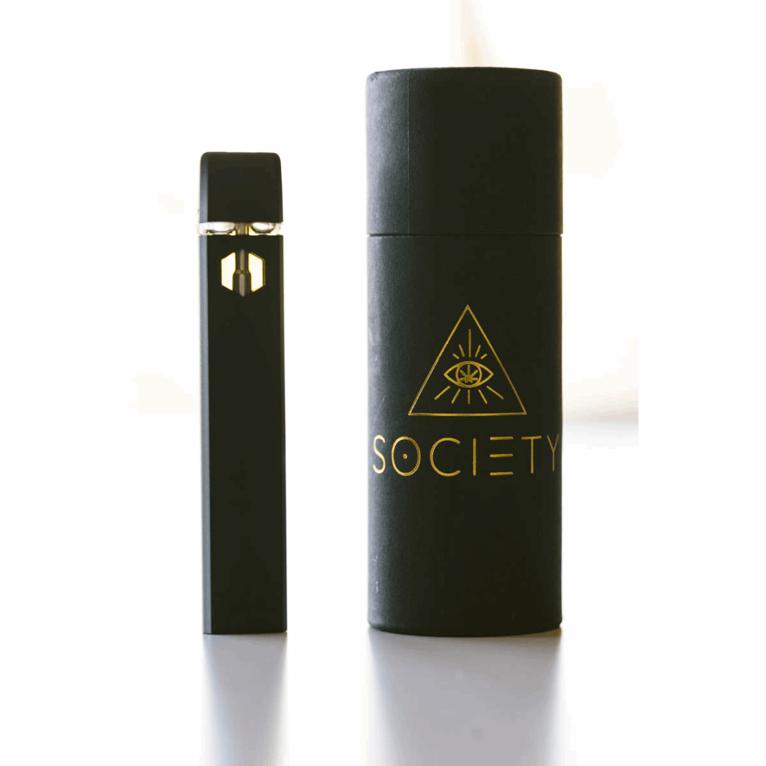 Delta 9 THC Disposable Vape Pen
