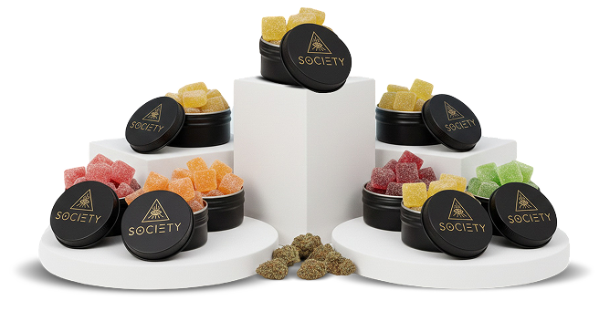 canna mood gummies with functional mushrooms and thc