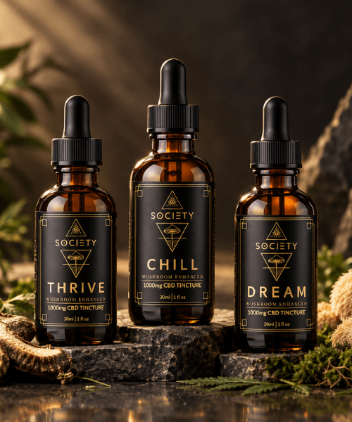 CBD & Mushroom Tincture Trio