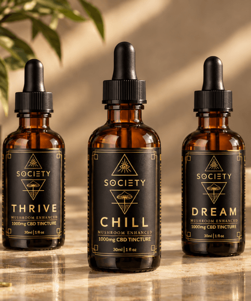 CBD & Mushroom Tincture Trio