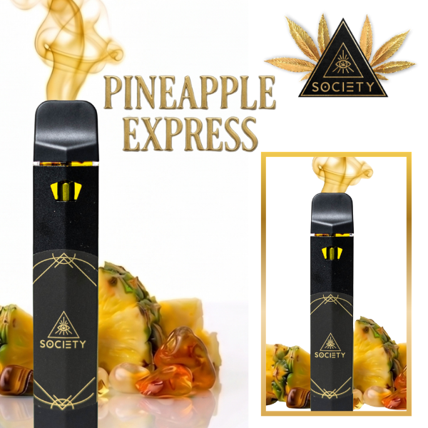 Delta 9 THC Disposable Vape Pen
