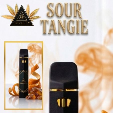 Delta 9 THC Disposable Vape Pen